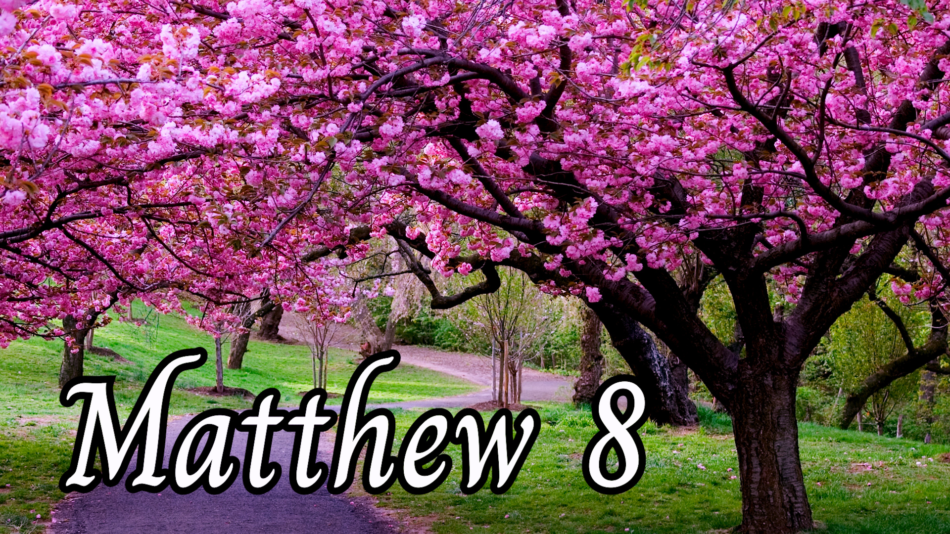Matthew 8