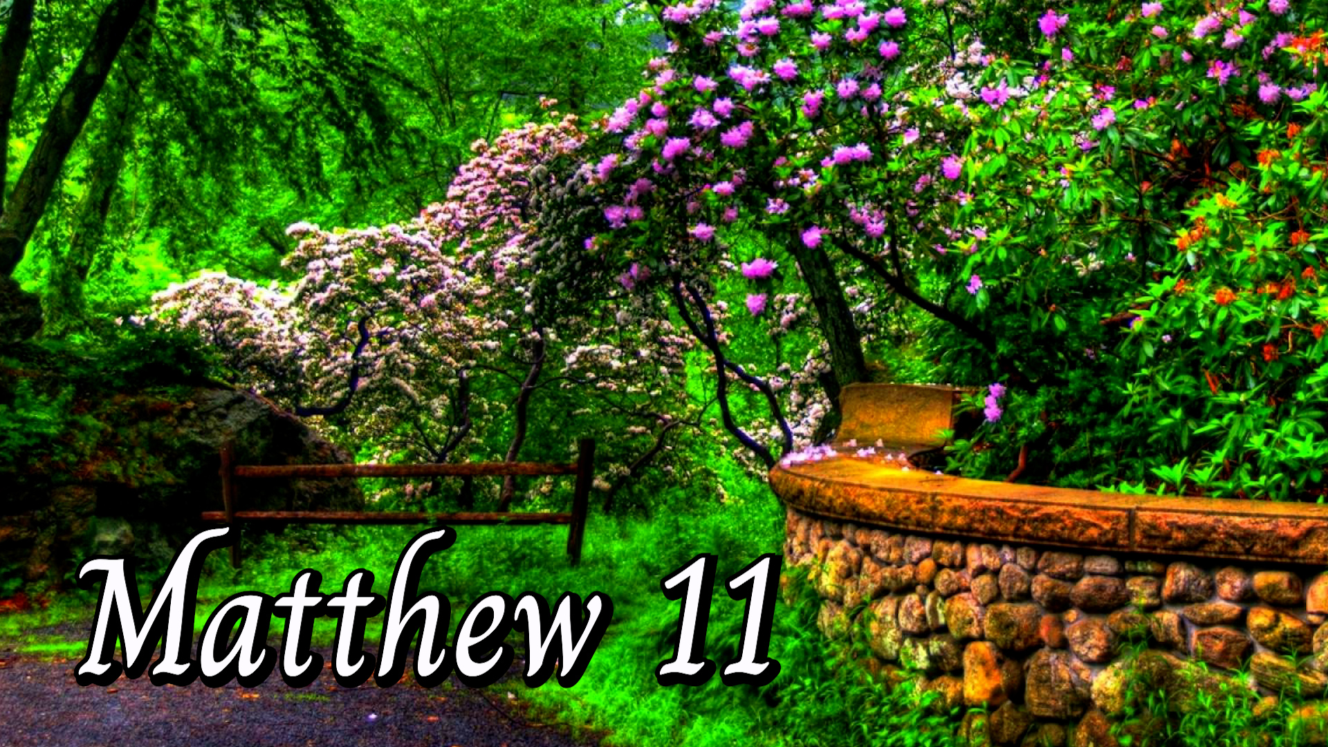 Matthew 11