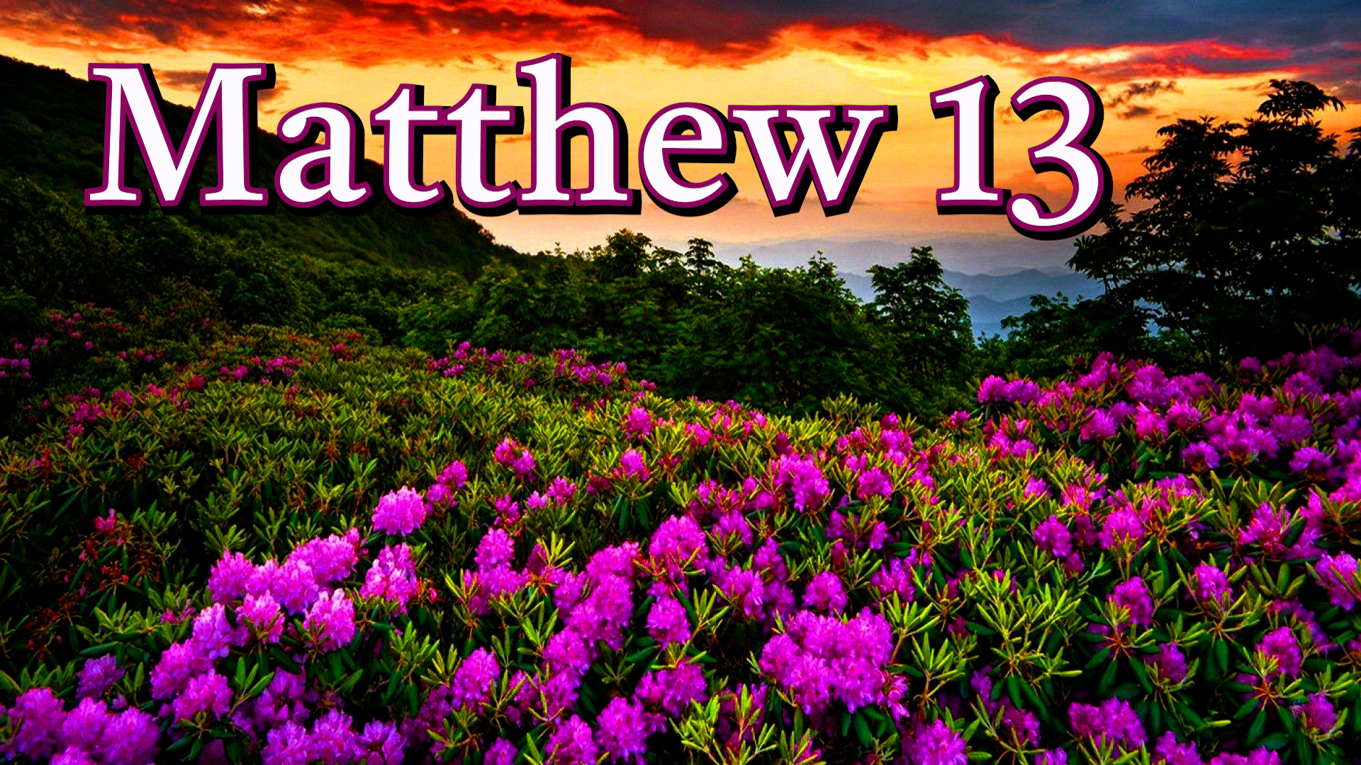 Matthew 13