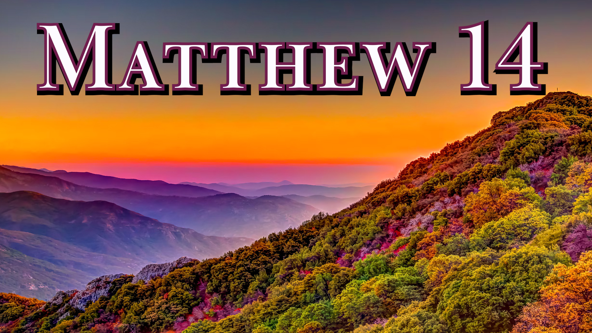 Matthew 14