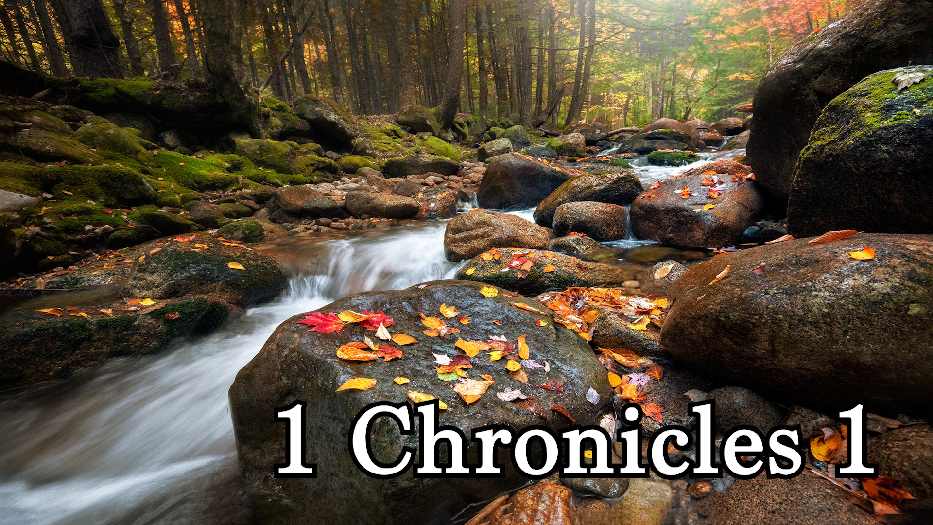 1 Chronicles 1-9