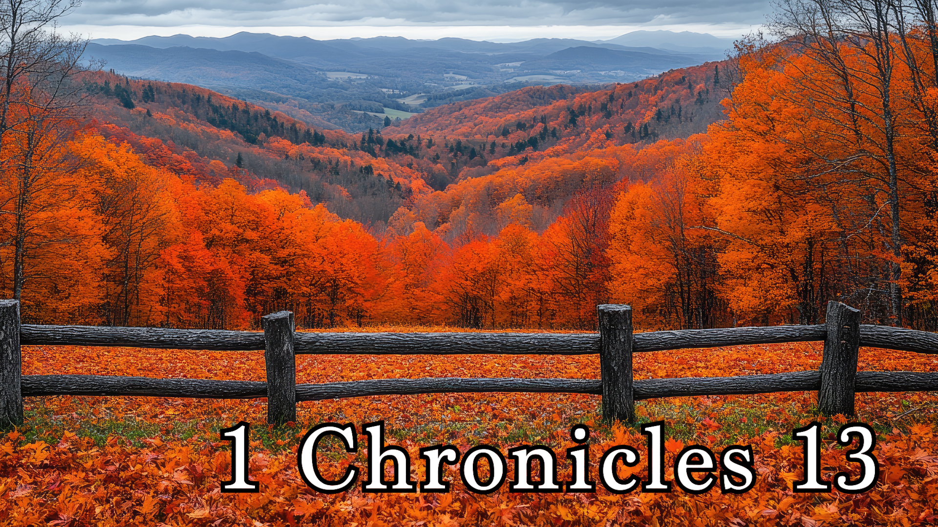 1 Chronicles 13 - 15